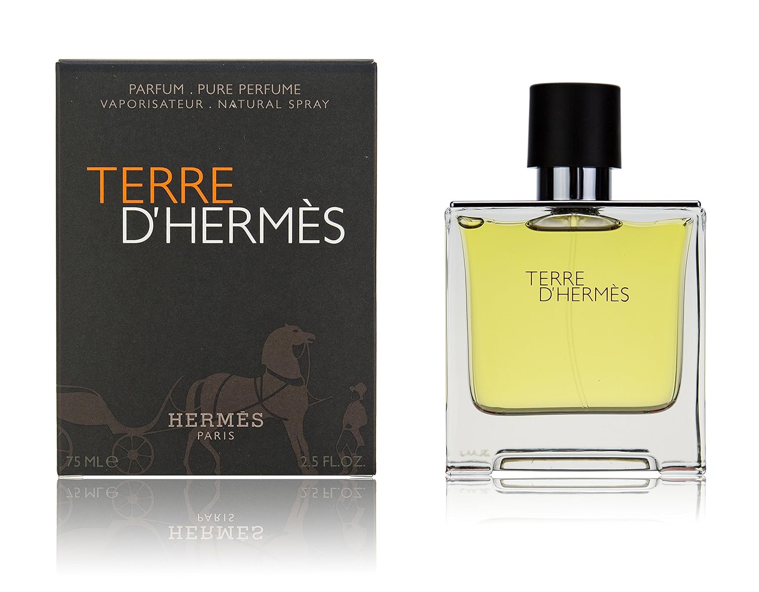 Hermès Terre d’Hermès Perfume Spray – 75 ml